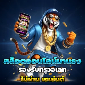 ทางเข้า bm89